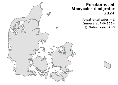 Atanycolus denigrator - udbredelseskort