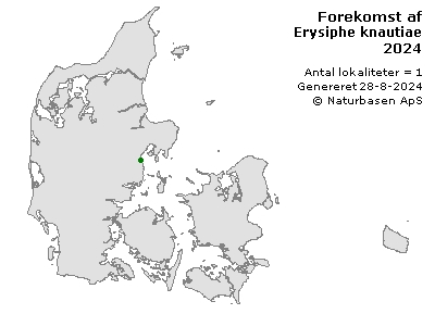 Erysiphe knautiae - udbredelseskort