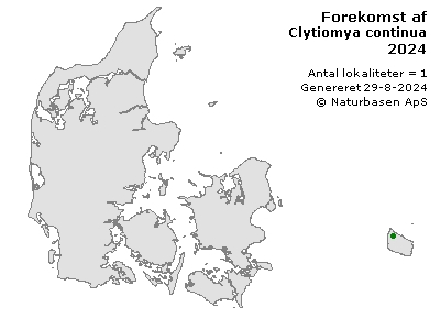 Clytiomya continua - udbredelseskort