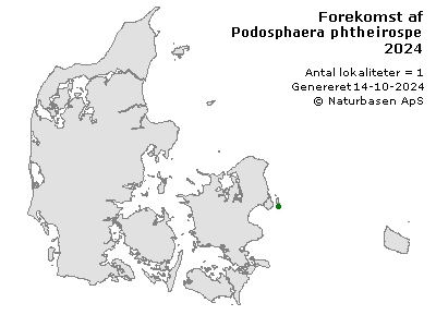 Podosphaera phtheirospermi - udbredelseskort