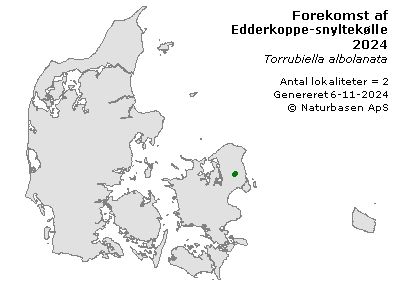 Edderkoppe-snyltekølle - udbredelseskort