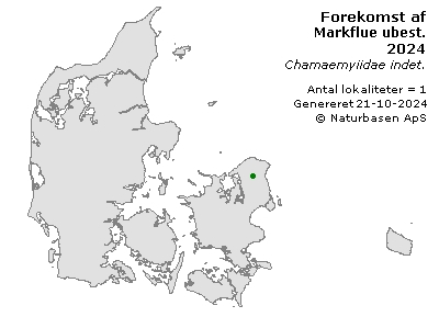 Markflue ubest. - udbredelseskort