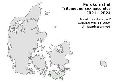 Tritomegas sexmaculatus - udbredelseskort