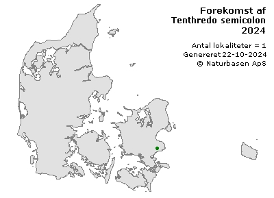 Tenthredo semicolon - udbredelseskort