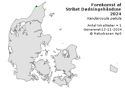 Stribet Dødningehåndsnegl - udbredelseskort