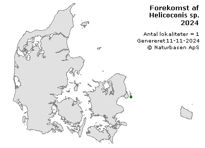 Helicoconis sp. - udbredelseskort