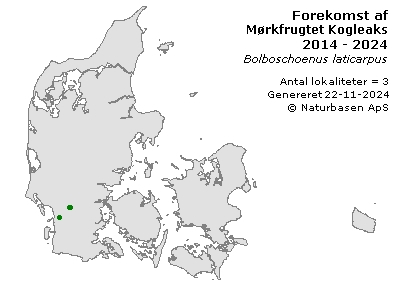 Mørkfrugtet Kogleaks - udbredelseskort