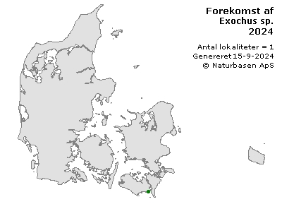 Exochus sp. - udbredelseskort