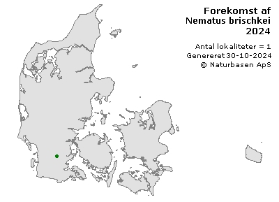 Nematus brischkei - udbredelseskort