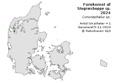 Sivgræshoppe sp. - udbredelseskort