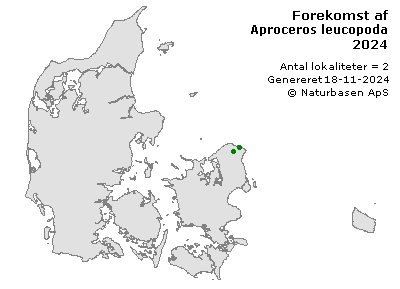 Aproceros leucopoda - udbredelseskort