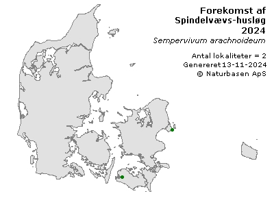 Spindelvævs-husløg - udbredelseskort