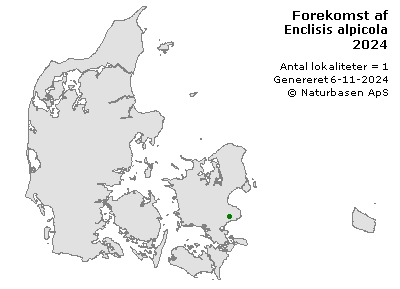 Enclisis alpicola - udbredelseskort