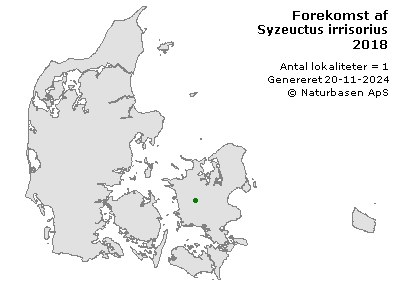 Syzeuctus irrisorius - udbredelseskort