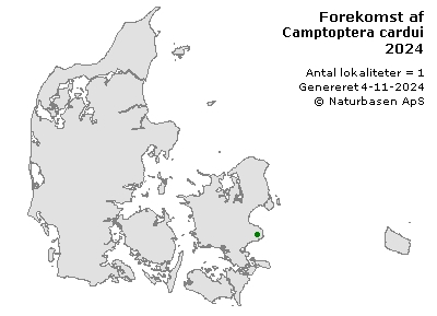 Camptoptera cardui  - udbredelseskort