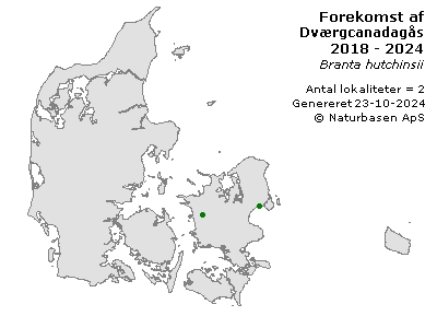 Dværgcanadagås - udbredelseskort