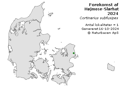 Højmose-Slørhat - udbredelseskort