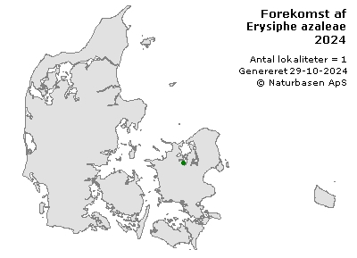 Erysiphe azaleae - udbredelseskort