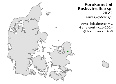 Busksvirreflue sp. - udbredelseskort