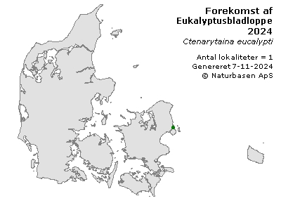 Eukalyptusbladloppe - udbredelseskort