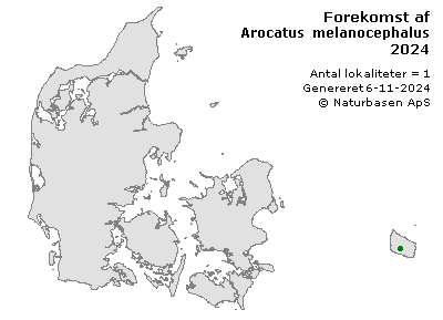 Arocatus melanocephalus - udbredelseskort