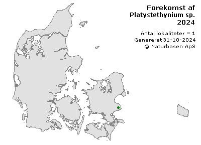 Platystethynium sp.  - udbredelseskort