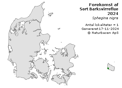 Sort Barksvirreflue - udbredelseskort