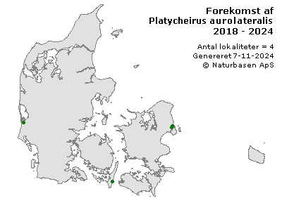 Platycheirus aurolateralis/Platycheirus scutatus/Platycheirus splendidus - udbredelseskort