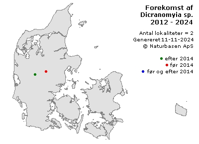 Dicranomyia sp. - udbredelseskort