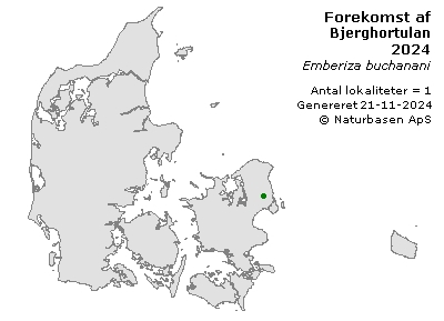 Bjerghortulan - udbredelseskort