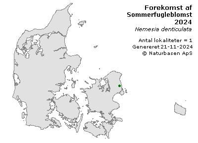 Sommerfugleblomst - udbredelseskort