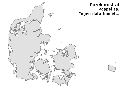 Poppel sp. - udbredelseskort