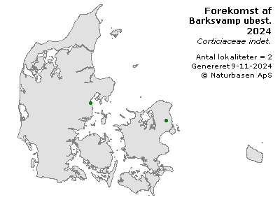 Barksvamp ubest. - udbredelseskort