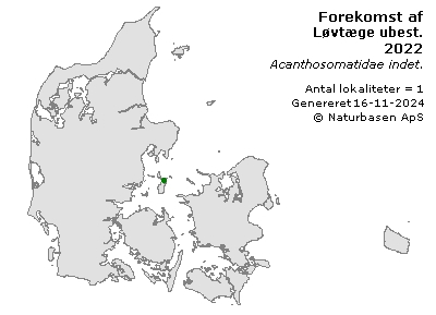 Løvtæge ubest. - udbredelseskort