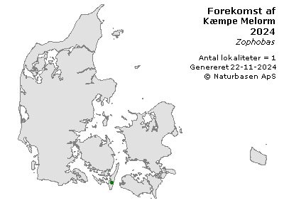 Kæmpe Melorm - udbredelseskort