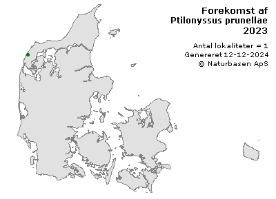 Ptilonyssus prunellae - udbredelseskort