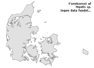 Myotis sp. - udbredelseskort