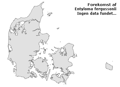 Entyloma fergussonii - udbredelseskort