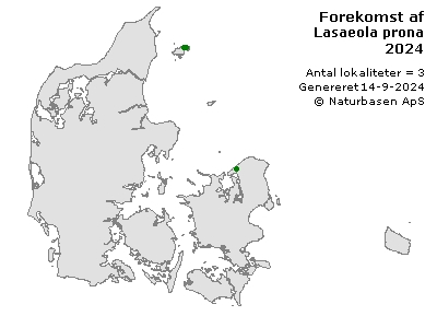 Lasaeola prona - udbredelseskort