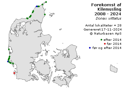 Kilemusling - udbredelseskort