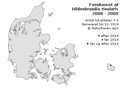 Hildenbrandia rivularis - udbredelseskort