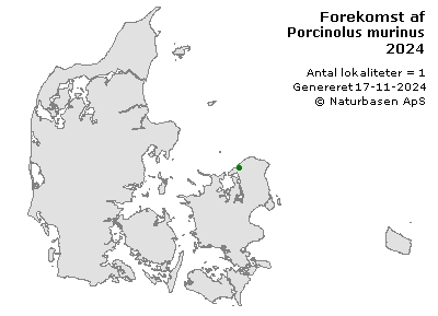 Porcinolus murinus - udbredelseskort